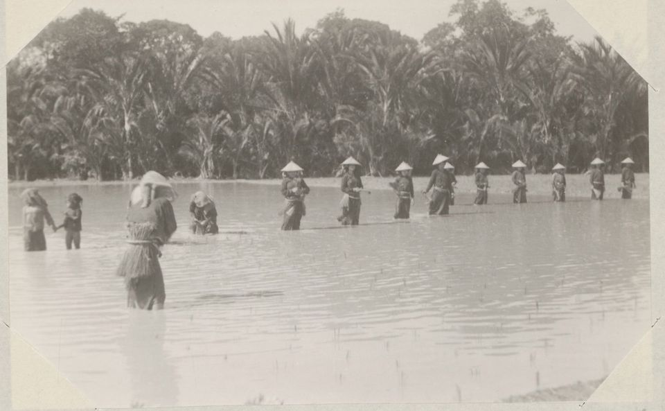 "Some Aspects of the Southern Question" in Colonial Malaya